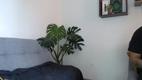 Snapshot of pantyhose_xxx_ chatting on 12/22/24, 03:55 pantyhose_xxx_ online show from 12/22/24, 03:55