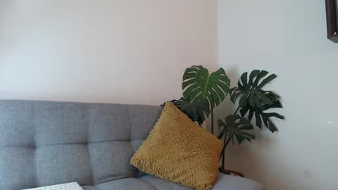 Snapshot of pantyhose_xxx_ chatting on 12/29/24, 04:08 pantyhose_xxx_ online show from 12/29/24, 04:08