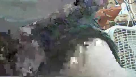 papajb70 online show from 09/29/25, 02:27