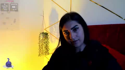 Snapshot of paris_evans_01 chatting on 12/15/25, 12:31 paris_evans_01 online show from 12/15/25, 12:31