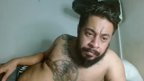 Snapshot of partisano77 chatting on 12/17/24, 06:56 Partisano77 online show from 12/17/24, 06:56