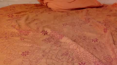 Pati24 online show from 01/15/25, 06:51