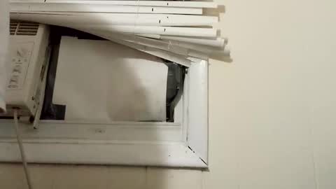 JD online show from 12/17/24, 11:27