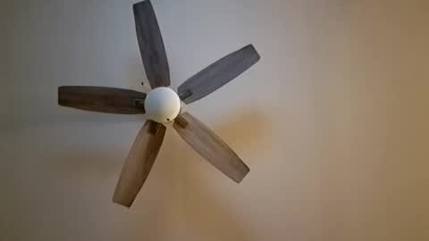 Snapshot of patrick247288 chatting on 11/07/25, 06:13 patrick247288 online show from 11/07/25, 06:13