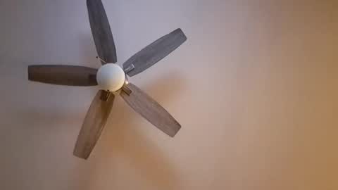 Snapshot of patrick247288 chatting on 11/16/25, 06:30 patrick247288 online show from 11/16/25, 06:30