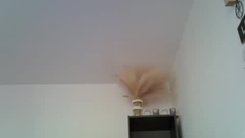 patrick5275 online show from 12/16/24, 11:44