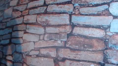 Snapshot of patrick_rouse chatting on 01/03/25, 05:31 patrick_rouse online show from 01/03/25, 05:31