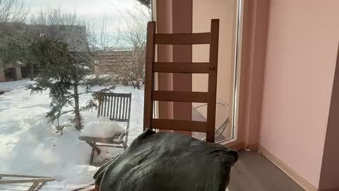 Snapshot of patry333 chatting on 02/20/26, 06:37 Andreea online show from 02/20/26, 06:37