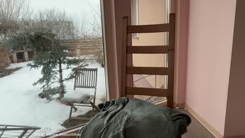 Snapshot of patry333 chatting on 02/24/26, 07:06 Andreea online show from 02/24/26, 07:06