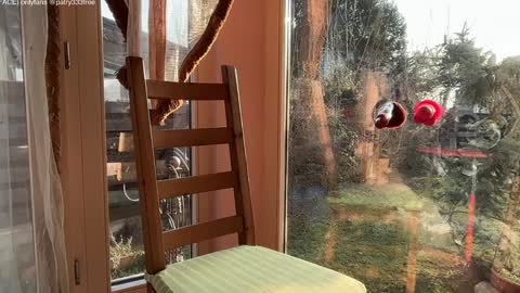 Snapshot of patry333 chatting on 03/16/26, 05:44 Andreea online show from 03/16/26, 05:44