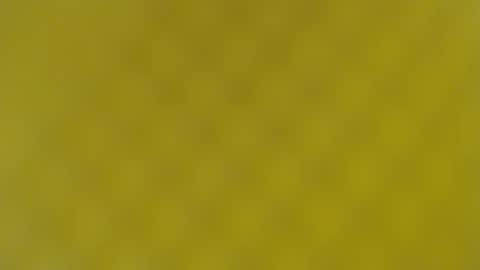 Snapshot of patty_squirt87 chatting on 02/19/25, 05:49 patty squirt87 online show from 02/19/25, 05:49