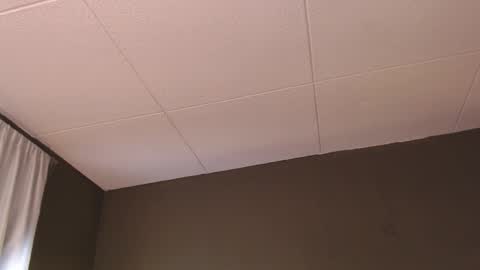 Paul online show from 12/05/25, 01:31