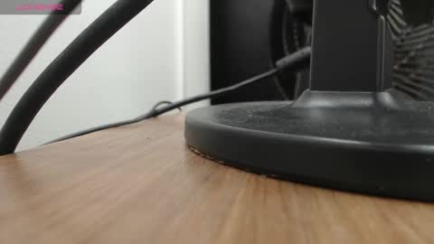 PAUL online show from 11/19/25, 12:27