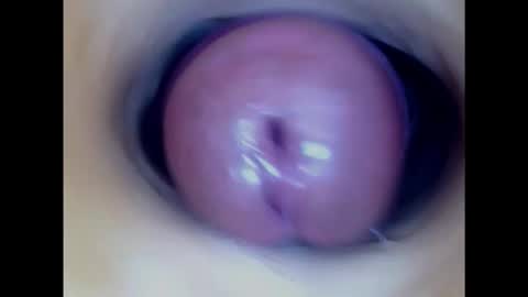 Snapshot of paulainoscente chatting on 01/31/25, 01:43 Paula 18 Aninhos online show from 01/31/25, 01:43