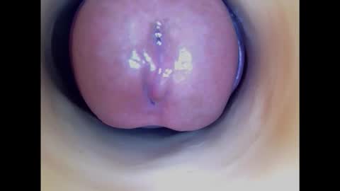 Snapshot of paulainoscente chatting on 01/31/25, 04:47 Paula 18 Aninhos online show from 01/31/25, 04:47