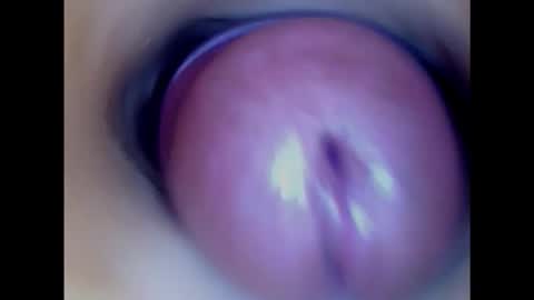 Snapshot of paulainoscente chatting on 02/01/25, 02:34 Paula 18 Aninhos online show from 02/01/25, 02:34