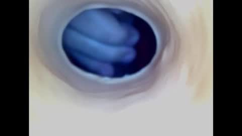 Snapshot of paulainoscente chatting on 02/01/25, 07:44 Paula 18 Aninhos online show from 02/01/25, 07:44