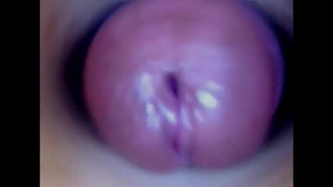 Snapshot of paulainoscente chatting on 02/02/25, 03:54 Paula 18 Aninhos online show from 02/02/25, 03:54