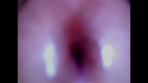 Snapshot of paulainoscente chatting on 02/03/25, 06:07 Paula 18 Aninhos online show from 02/03/25, 06:07