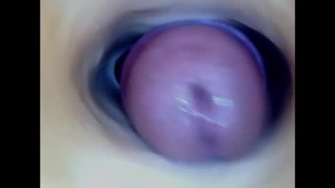 Snapshot of paulainoscente chatting on 02/06/25, 04:03 Paula 18 Aninhos online show from 02/06/25, 04:03