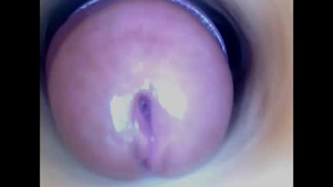 Snapshot of paulainoscente chatting on 02/08/25, 06:22 Paula 18 Aninhos online show from 02/08/25, 06:22