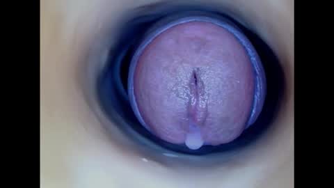 Snapshot of paulainoscente chatting on 02/08/25, 05:50 Paula 18 Aninhos online show from 02/08/25, 05:50