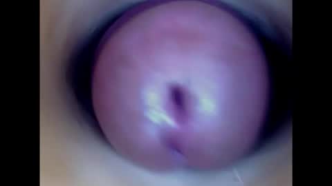 Snapshot of paulainoscente chatting on 02/11/25, 11:01 Paula 18 Aninhos online show from 02/11/25, 11:01