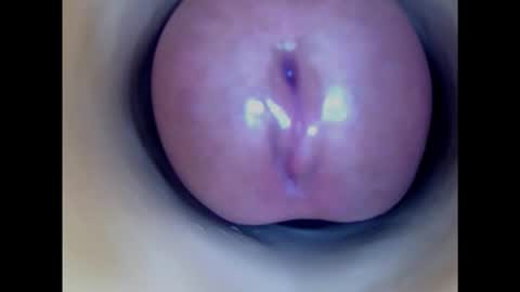 Snapshot of paulainoscente chatting on 02/12/25, 05:15 Paula 18 Aninhos online show from 02/12/25, 05:15