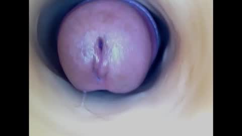 Snapshot of paulainoscente chatting on 02/19/25, 05:05 Paula 18 Aninhos online show from 02/19/25, 05:05