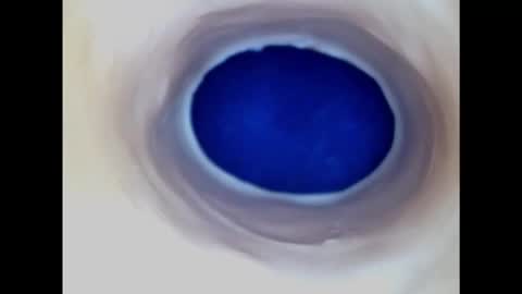 Snapshot of paulainoscente chatting on 02/20/25, 03:01 Paula 18 Aninhos online show from 02/20/25, 03:01