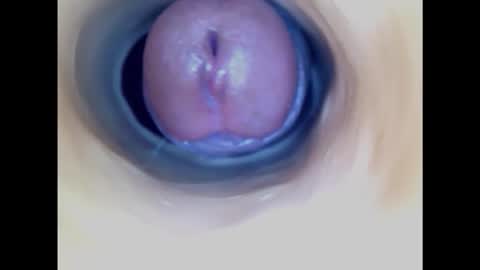 Snapshot of paulainoscente chatting on 02/20/25, 04:36 Paula 18 Aninhos online show from 02/20/25, 04:36