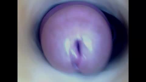 Snapshot of paulainoscente chatting on 02/23/25, 02:51 Paula 18 Aninhos online show from 02/23/25, 02:51