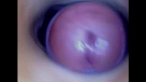 Snapshot of paulainoscente chatting on 02/24/25, 01:24 Paula 18 Aninhos online show from 02/24/25, 01:24