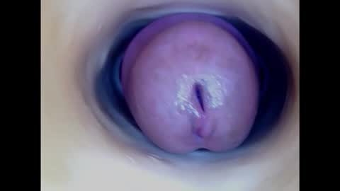 Snapshot of paulainoscente chatting on 03/02/25, 07:12 Paula 18 Aninhos online show from 03/02/25, 07:12