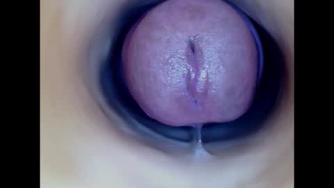 Snapshot of paulainoscente chatting on 11/05/25, 11:16 Paula 18 Aninhos online show from 11/05/25, 11:16