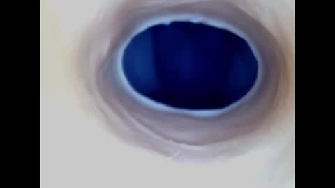 Snapshot of paulainoscente chatting on 11/17/25, 05:24 Paula 18 Aninhos online show from 11/17/25, 05:24