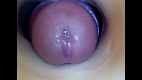 Snapshot of paulainoscente chatting on 11/18/25, 05:34 Paula 18 Aninhos online show from 11/18/25, 05:34