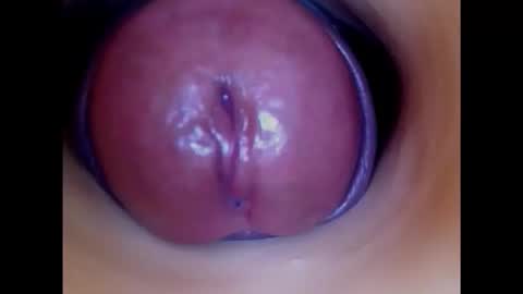 Snapshot of paulainoscente chatting on 11/20/25, 07:30 Paula 18 Aninhos online show from 11/20/25, 07:30