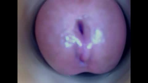 Paula 18 Aninhos online show from 01/15/26, 11:41