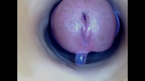 Paula 18 Aninhos online show from 03/02/26, 05:08