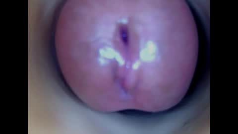 Snapshot of paulainoscente chatting on 04/19/26, 06:21 Paula 18 Aninhos online show from 04/19/26, 06:21
