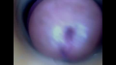 Snapshot of paulainoscente chatting on 05/13/26, 01:03 Paula 18 Aninhos online show from 05/13/26, 01:03