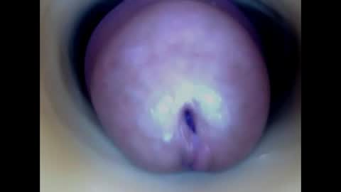 Snapshot of paulainoscente chatting on 05/13/26, 01:08 Paula 18 Aninhos online show from 05/13/26, 01:08
