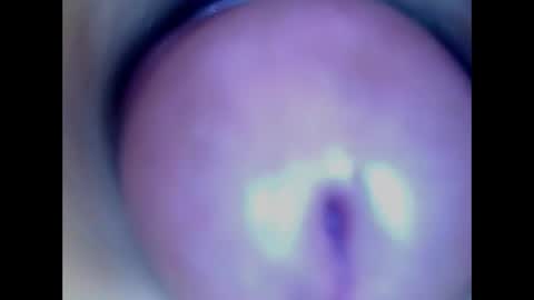 Snapshot of paulainoscente chatting on 05/18/26, 02:40 Paula 18 Aninhos online show from 05/18/26, 02:40