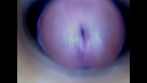 Snapshot of paulainoscente chatting on 05/21/26, 01:51 Paula 18 Aninhos online show from 05/21/26, 01:51