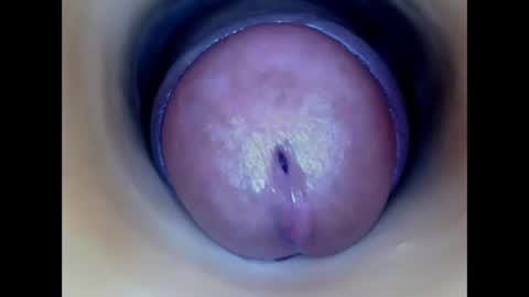 Snapshot of paulainoscente chatting on 05/22/26, 06:46 Paula 18 Aninhos online show from 05/22/26, 06:46