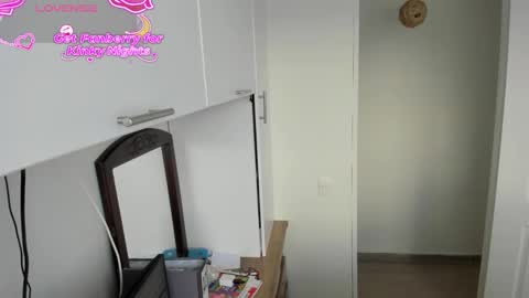 paulina online show from 11/17/25, 09:09