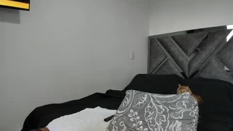 Paulina online show from 11/12/25, 09:14