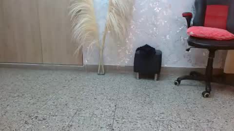 Paulina Rubio online show from 12/07/24, 10:17