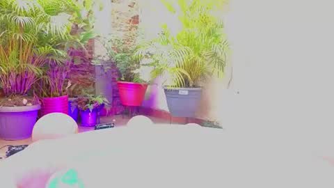 Snapshot of paulina_sodi chatting on 06/19/26, 07:39 Paulina online show from 06/19/26, 07:39